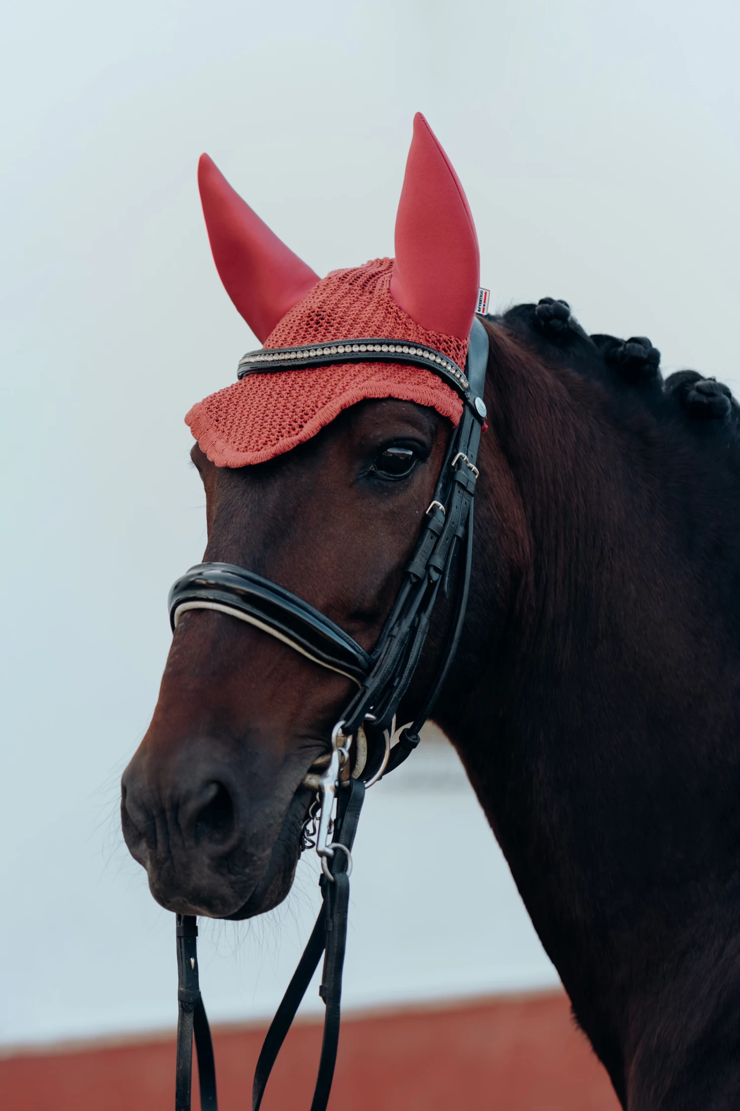 B Vertigo Laurel Fliegenhaube 3 B Vertigo Laurel Fliegenhaube – Bild 3