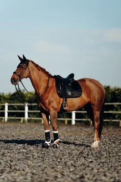 B Vertigo Drew Fliegenhaube -Reitsportbedarf 22931 BL 4