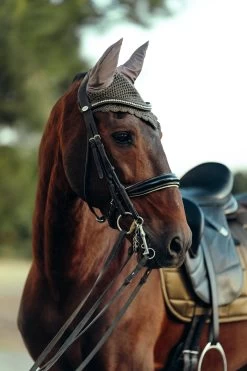 B Vertigo Drew Fliegenhaube -Reitsportbedarf 22931 UBBR 3