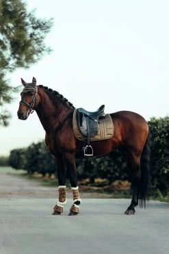 B Vertigo Drew Fliegenhaube -Reitsportbedarf 22931 UBBR 4