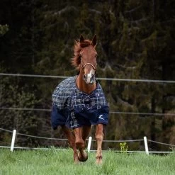 Horze Nevada 1200D Regendecke,100g -Reitsportbedarf 24128 VDB MBZ 3