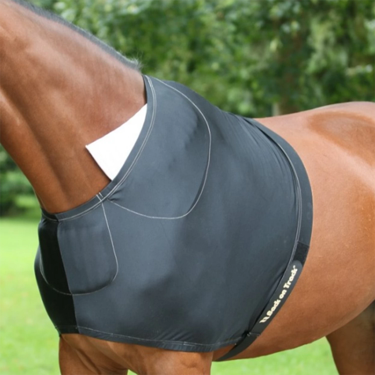 Back On Track Schulterschutz 1 Back On Track Schulterschutz