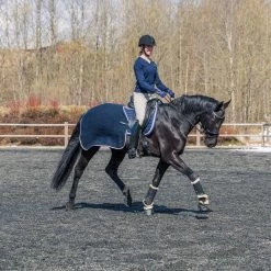 B Vertigo Concord Trainingsdecke -Reitsportbedarf 24328 VDB 3