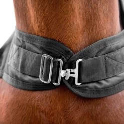 Reitsportbedarf -Reitsportbedarf 24331 BL 2