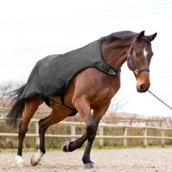 Horze Nevada Führanlagendecke, 200g -Reitsportbedarf 24331 BL 3