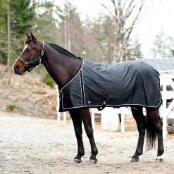 FT Sommerdecke, Enstex -Reitsportbedarf 24370 BL BL 1