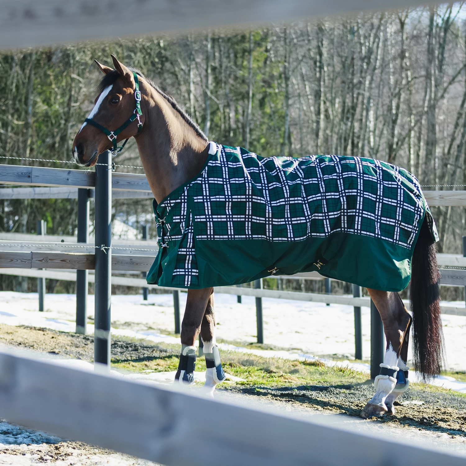 Horze Nevada Winterdecke, 400g 5 Horze Nevada Winterdecke, 400g – Bild 5