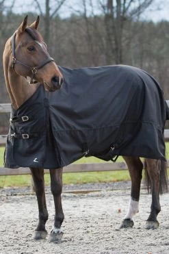 Horze Nevada Regendecke 28 Horze Nevada Regendecke -Reitsportbedarf 24575 BL 02