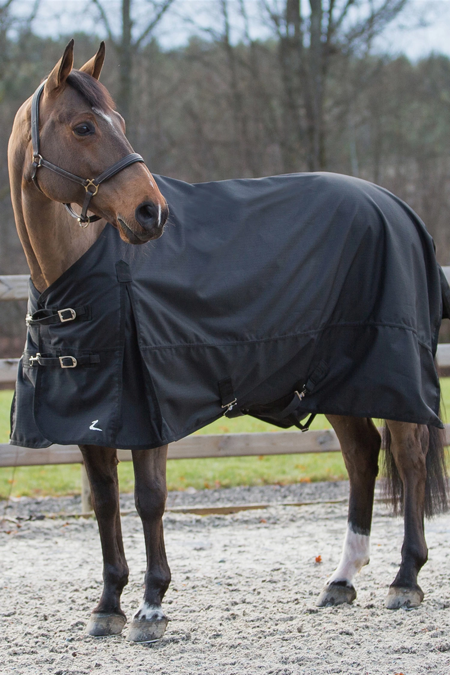 Horze Nevada Regendecke 9 Horze Nevada Regendecke – Bild 9