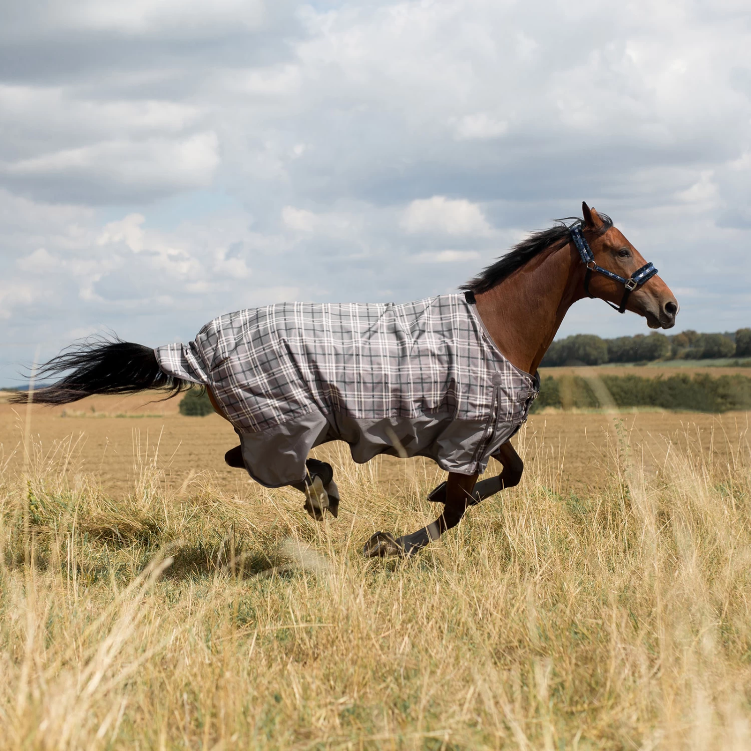 Horze Nevada Regendecke 11 Horze Nevada Regendecke – Bild 11