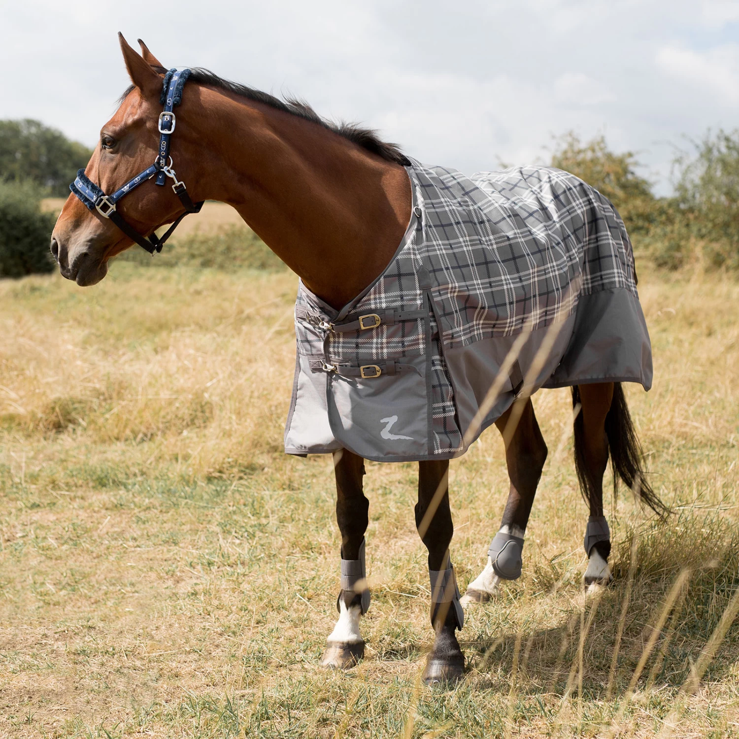 Horze Nevada Regendecke 12 Horze Nevada Regendecke – Bild 12