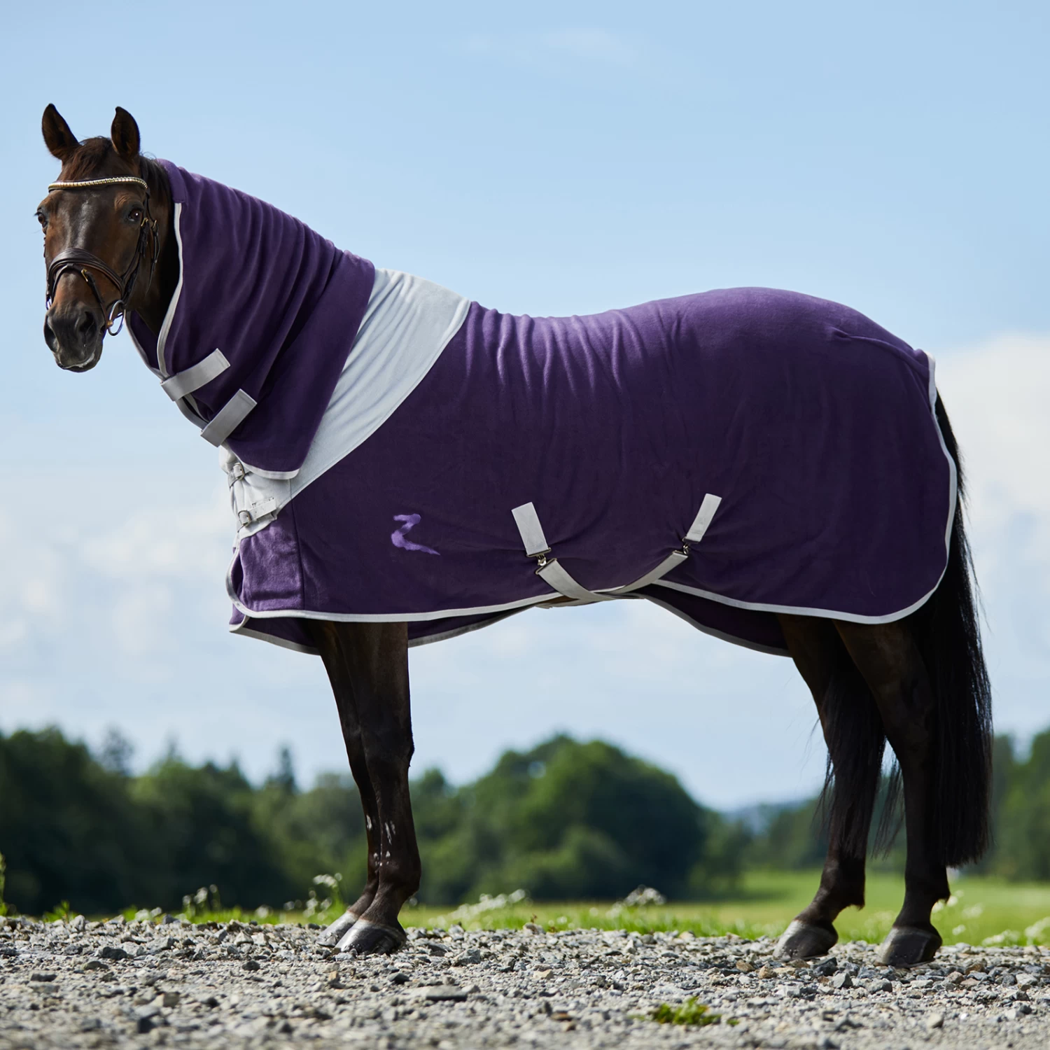 Horze Turin Fleece-Abschwitzdecke Mit Halsteil 5 Horze Turin Fleece-Abschwitzdecke Mit Halsteil – Bild 5