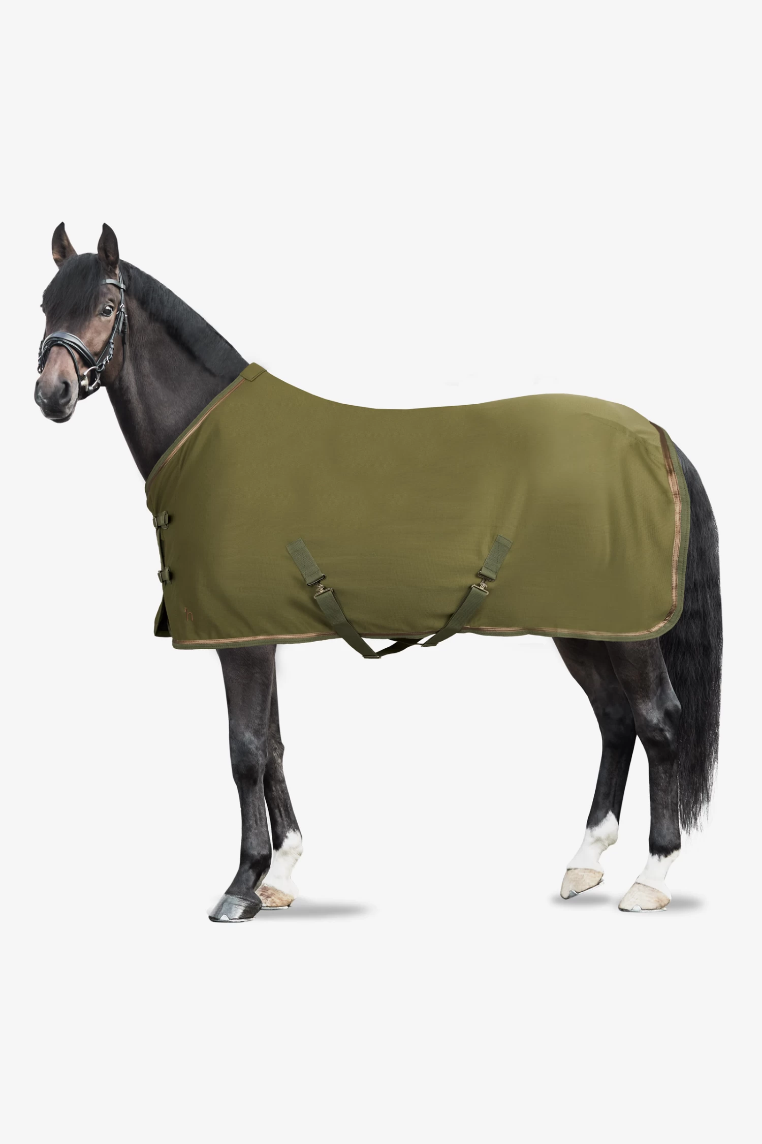 Horze Munich Sommerdecke Mit Metall Detail 1 Horze Munich Sommerdecke Mit Metall Detail