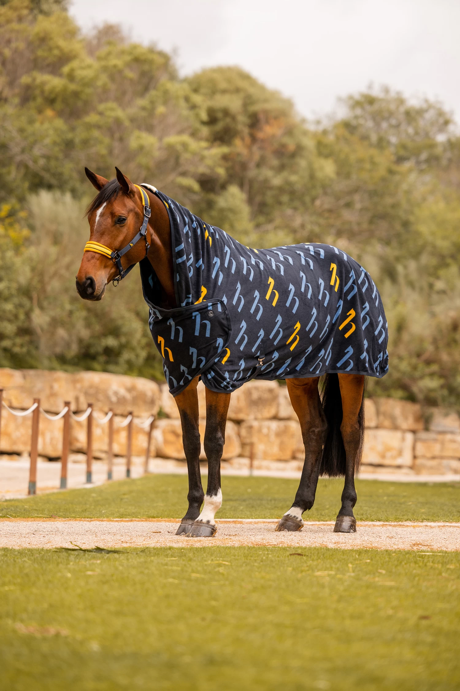 Horze Wicklow Abschwitzdecke Mit Logo Print 6 Horze Wicklow Abschwitzdecke Mit Logo Print – Bild 6