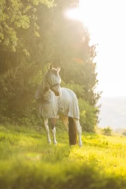 Horze La Pampa Fliegenschutz Set 31 Horze La Pampa Fliegenschutz Set -Reitsportbedarf 24817 g 12