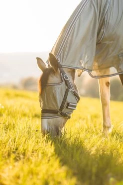 Horze La Pampa Fliegenschutz Set 33 Horze La Pampa Fliegenschutz Set -Reitsportbedarf 24817 g 14