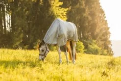 Horze La Pampa Fliegenschutz Set 37 Horze La Pampa Fliegenschutz Set -Reitsportbedarf 24817 g 18