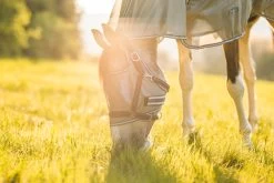 Horze La Pampa Fliegenschutz Set 38 Horze La Pampa Fliegenschutz Set -Reitsportbedarf 24817 g 19