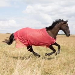 Horze Orleans Fliegendecke 32 Horze Orleans Fliegendecke -Reitsportbedarf 24835 SCPI 1