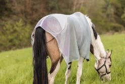 Horze Orleans Fliegendecke 31 Horze Orleans Fliegendecke -Reitsportbedarf 24835 hrg 12