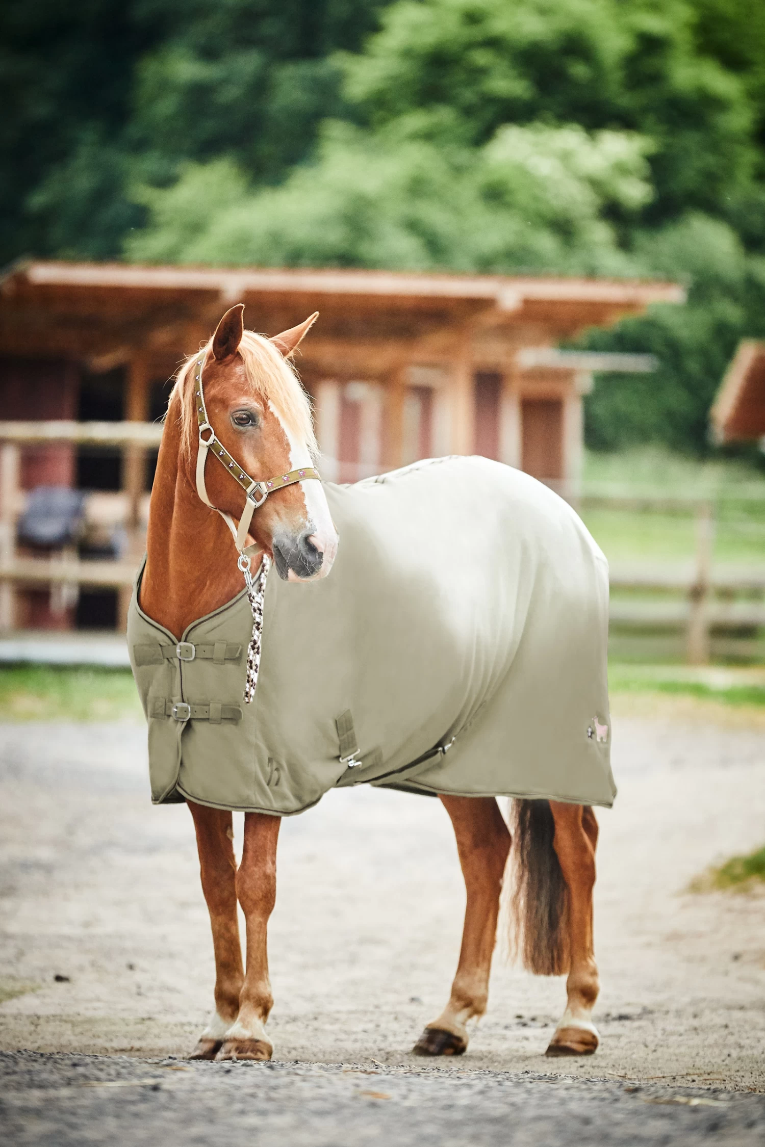 Horze Monster Pony Fleecedecke 8 Horze Monster Pony Fleecedecke – Bild 8