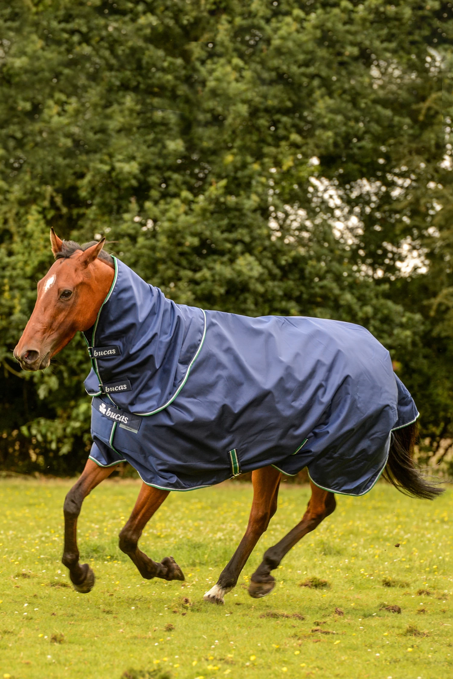 Bucas Smartex Combi Neck, 0g 2 Bucas Smartex Combi Neck, 0g – Bild 2