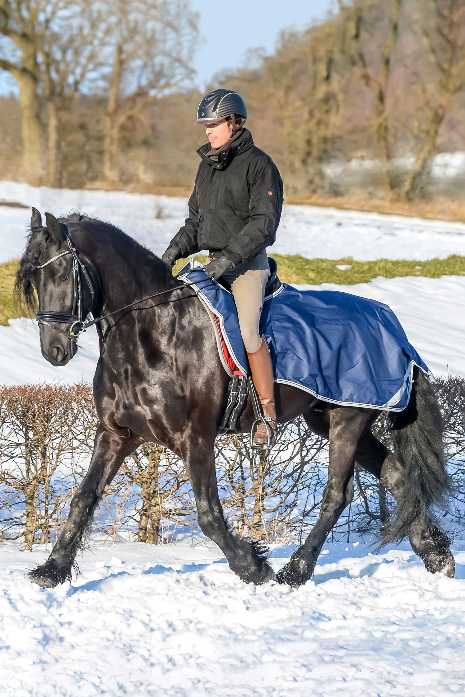 Bucas Freedom Ausreitdecke 1 Bucas Freedom Ausreitdecke