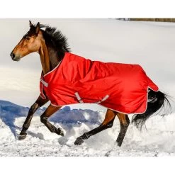 Bucas Freedom Turnout Ponydecke, 300g -Reitsportbedarf 300451 SRE 1
