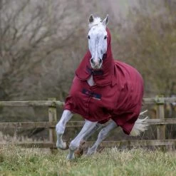 Bucas Freedom Turnout Full Neck Regendecke Mit Festem Halsteil, 0g -Reitsportbedarf 300453 CRE 2