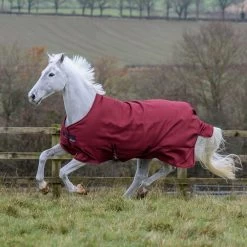 Bucas Freedom Turnout Light Pony Regdendecke, 0g -Reitsportbedarf 300456 CRE 2