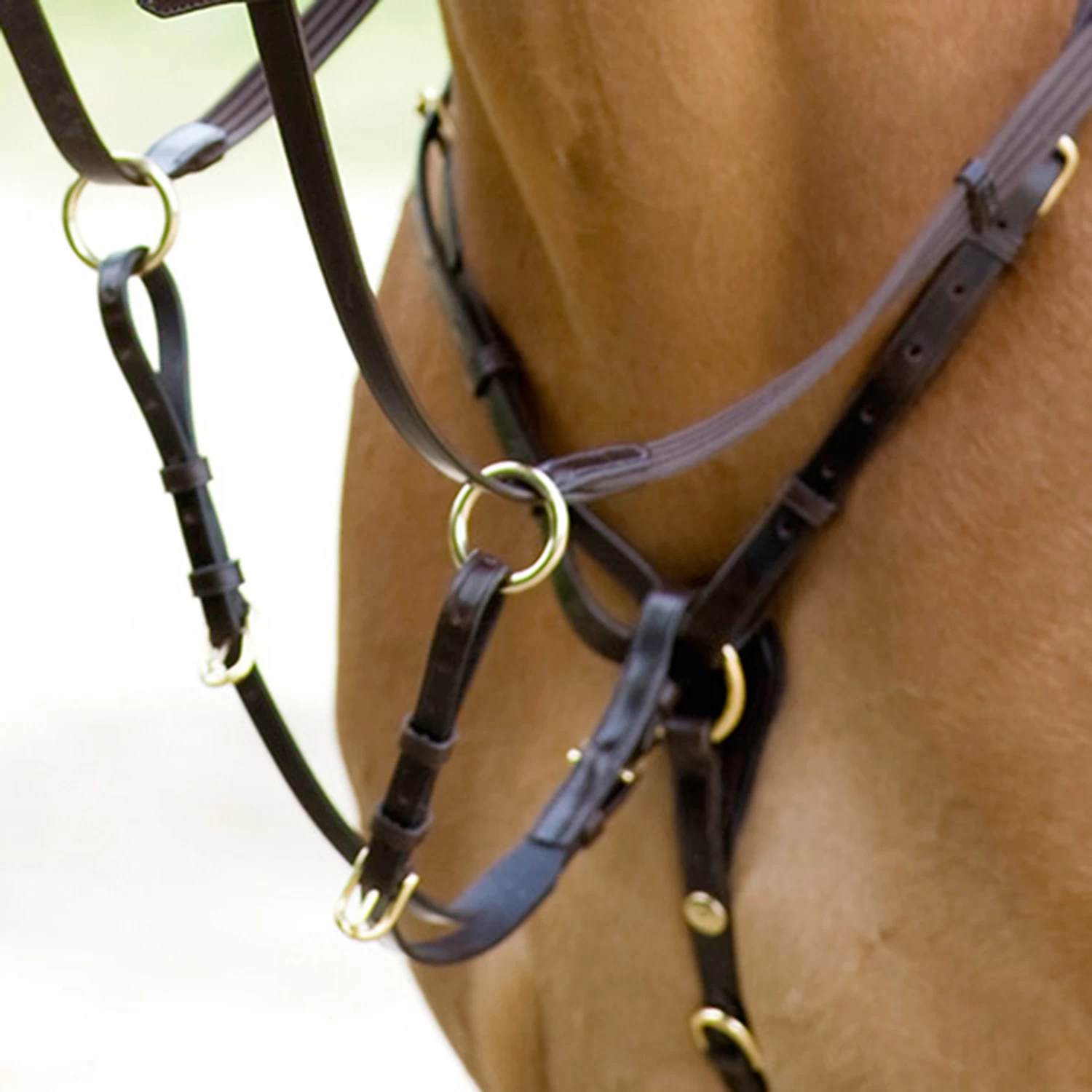 Schockemöhle Schmal Geschnittenes Vorderzeug: RACE II 2 Schockemöhle Schmal Geschnittenes Vorderzeug: RACE II – Bild 2