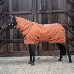 Kentucky Horsewear All Weather Halsteil 150g -Reitsportbedarf 306135 ASOR 2