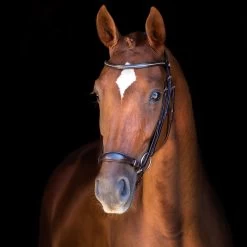 Schockemöhle Copenhagen Trense -Reitsportbedarf 306265 DBR SI 3