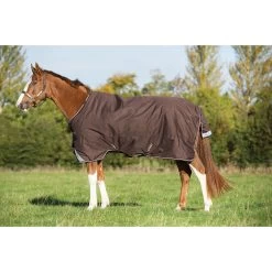 Horseware Amigo Bravo 12 Winterdecke, 400g