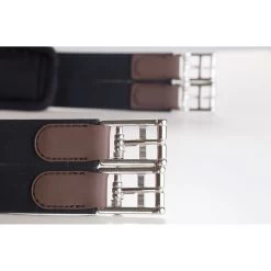 Zandona CARBON AIR Candy Gurt -Reitsportbedarf 312185 BR 3