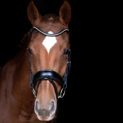 Schockemöhle Stanford Anatomische Trense -Reitsportbedarf 313787 BL SI 3