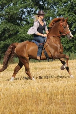 F.R.A. Cavallo Hufschuh Simple -Reitsportbedarf 314920 BR 3