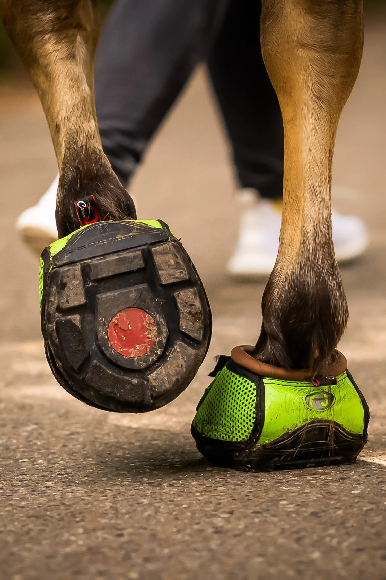 F.R.A. Cavallo Hufschuhe TREK SLIM 2 F.R.A. Cavallo Hufschuhe TREK SLIM – Bild 2