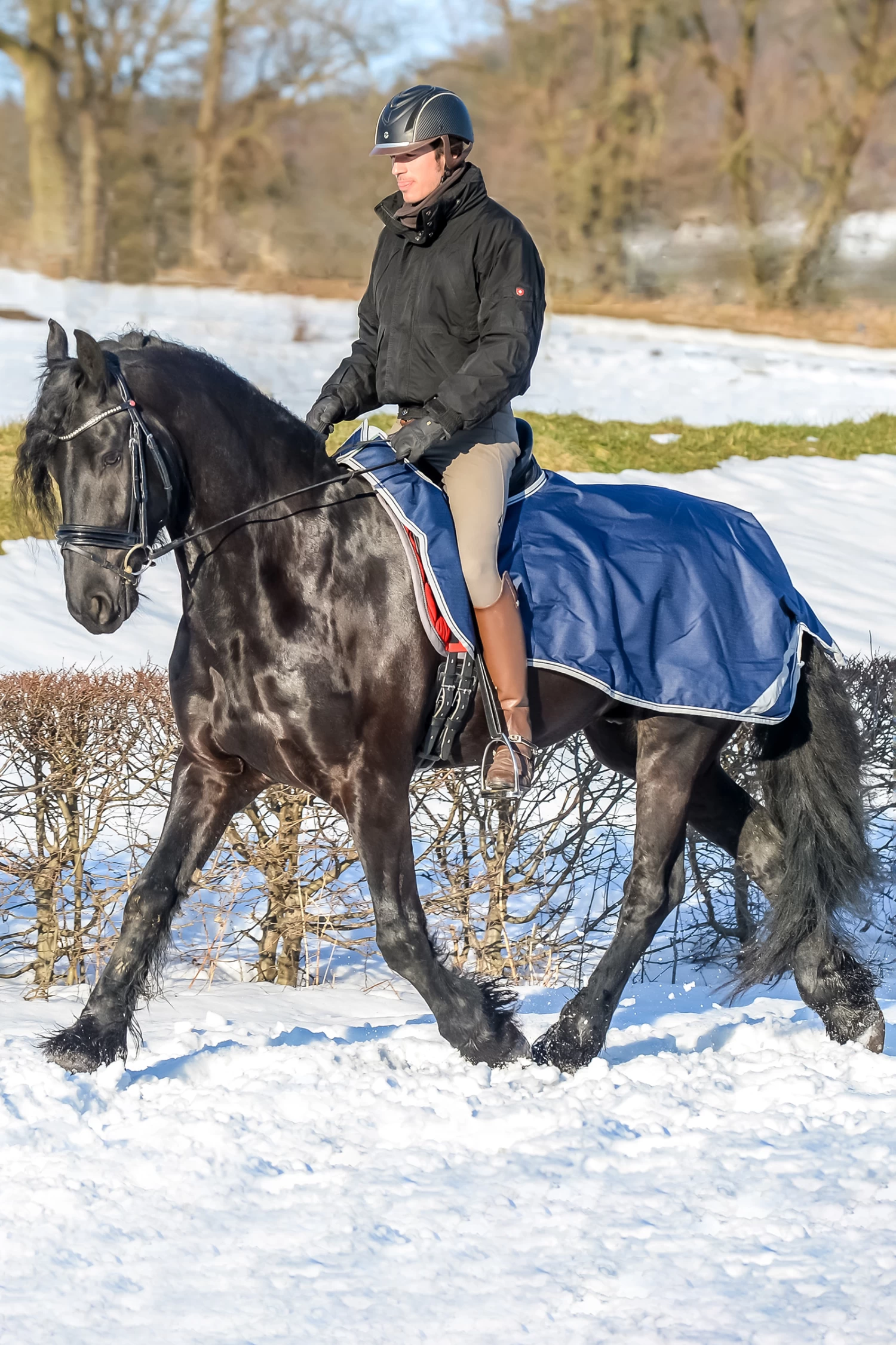 Bucas Ausreitdecke, 0g 1 Bucas Ausreitdecke, 0g