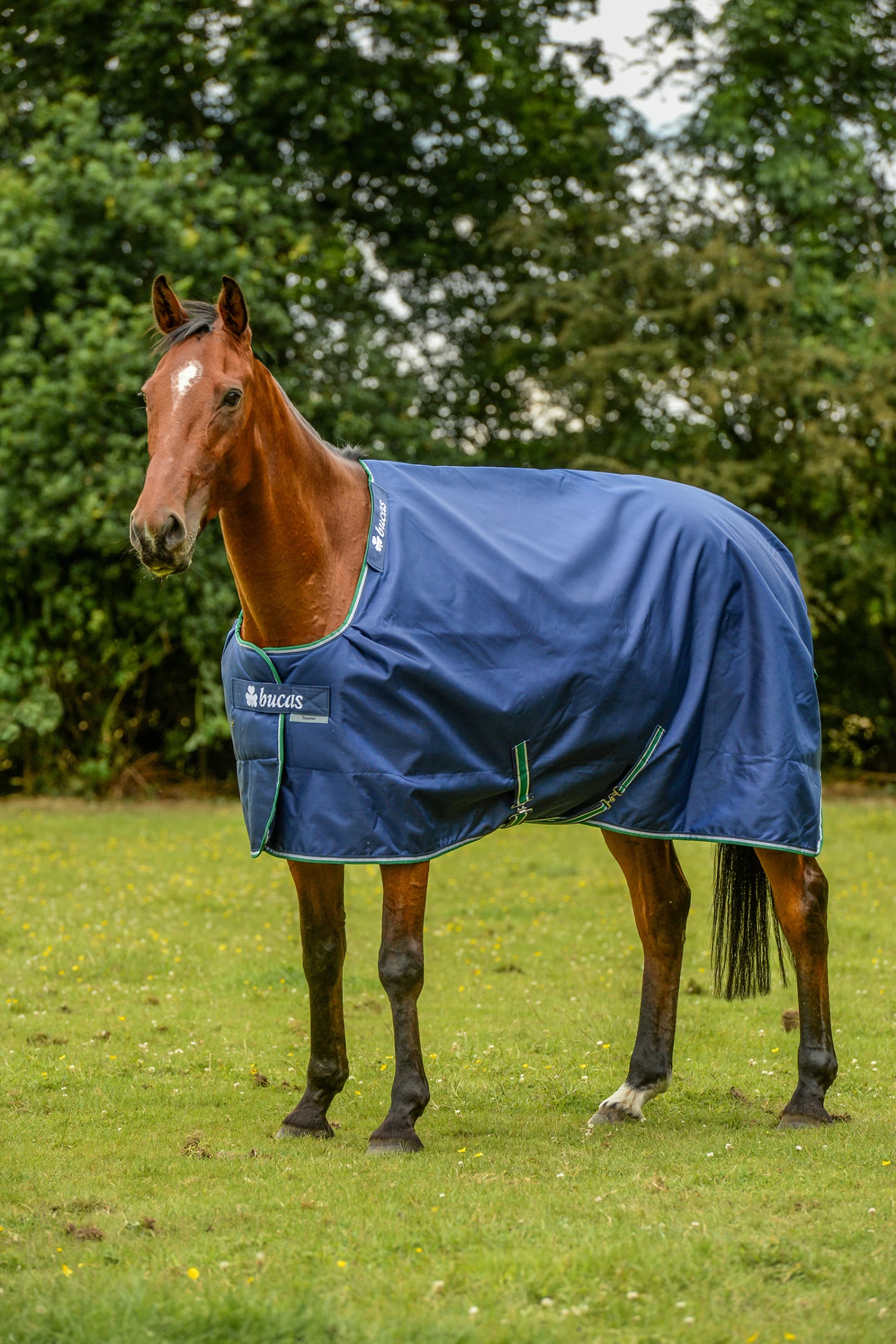 Bucas Smartex Rain Regendecke Mit Abschwitzfunktion, 0g 1 Bucas Smartex Rain Regendecke Mit Abschwitzfunktion, 0g