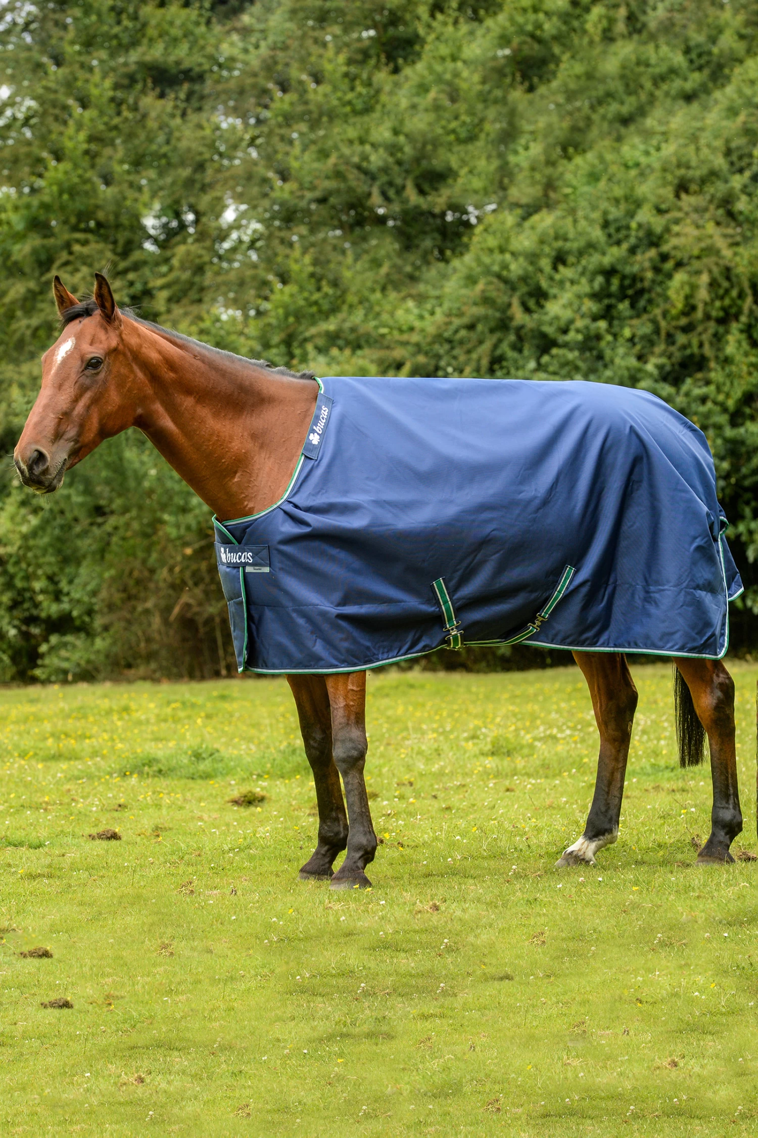 Bucas Smartex Rain Regendecke Mit Abschwitzfunktion, 0g 2 Bucas Smartex Rain Regendecke Mit Abschwitzfunktion, 0g – Bild 2