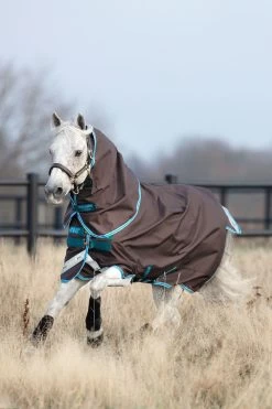 Horseware Amigo Bravo 12 Pony Weidedecke Inkl. Abnehmbarem Halsteil, 0g -Reitsportbedarf 320362 DG B 2