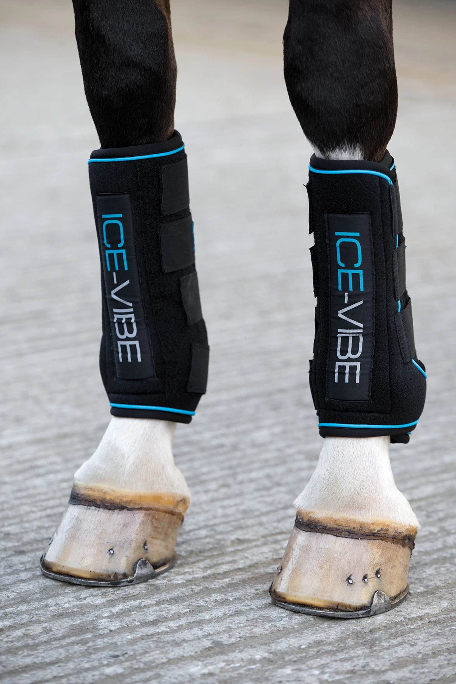 Horseware Ice-Vibe Gamaschen 1 Horseware Ice-Vibe Gamaschen