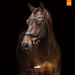 Schockemöhle Equitus Beta Anatomische Spezialtrense -Reitsportbedarf 322313 BL SI 3