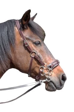 FRA Aram Hackamore (System 2) Leather, Jaw Straps, W/ Scissors -Reitsportbedarf 322944 DBR 1