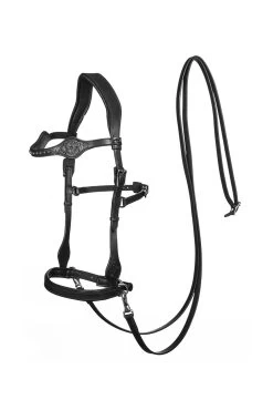 FRA Dandy Sidepull (System 3) Leather, W/ Leather Clip Reins