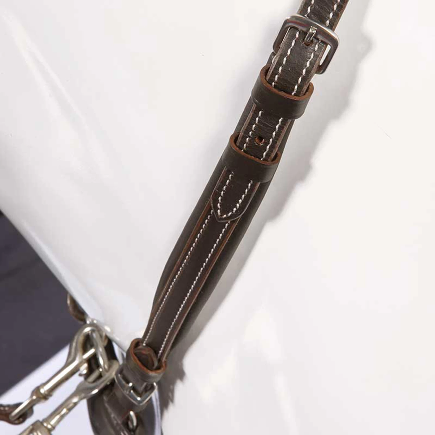 Kavalkade Vorderzeug Dekor, W 5 Kavalkade Vorderzeug Dekor, W – Bild 5