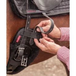 Lemieux Dressurgurt-Überzug -Reitsportbedarf 326245 BL 2