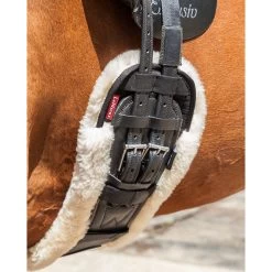 Lemieux Dressurgurt-Überzug -Reitsportbedarf 326245 WH 2