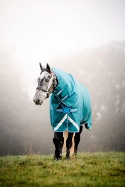 Horseware Amigo Bravo 12 Plus Regendecke Mit Abnehmbarem Halsteil, 100g -Reitsportbedarf 326984 STGR 2